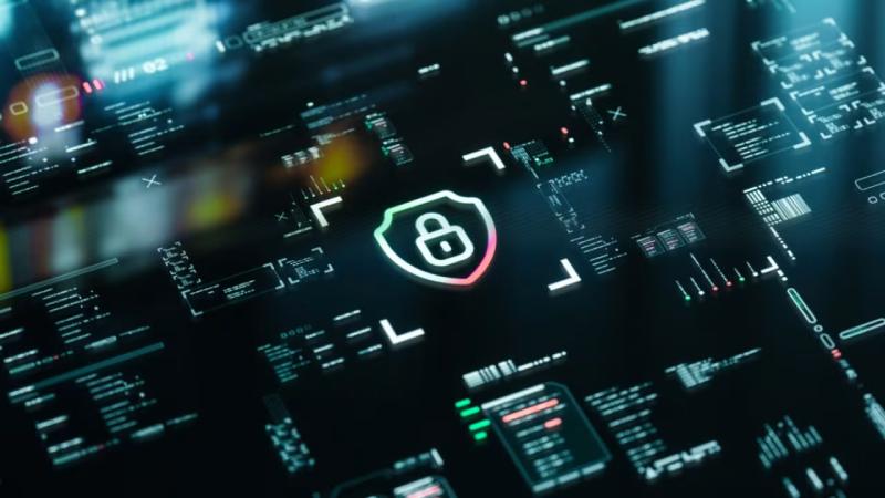 武江区软件开发公司